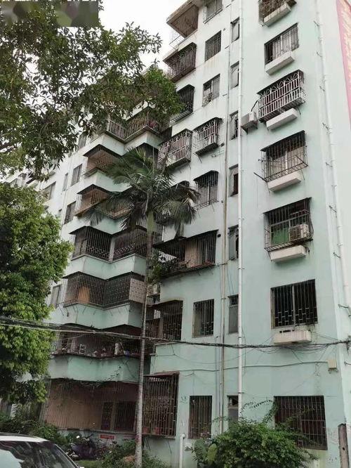 石家莊花園爆料案件最新,揭秘背后驚人真相